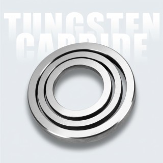 Tungsten Carbide Seal Faces